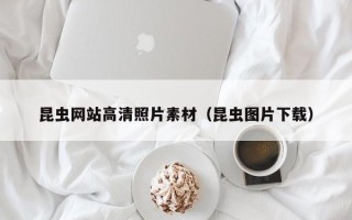 郴州昆虫网站高清照片素材（昆虫图片下载）